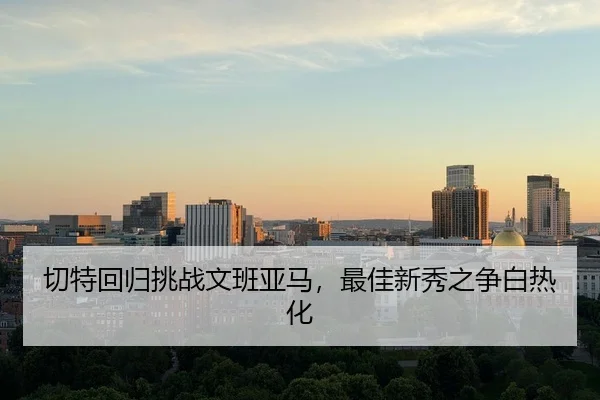 切特回归挑战文班亚马，最佳新秀之争白热化