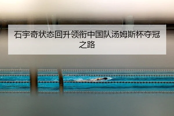 shi-yu-qi-zhuang-tai-hui-sheng-ling-xian-zhong-guo-dui-tang-mu-si-bei-duo-guan-zhi-lu-2-546.jpg
