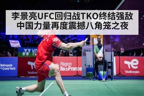 李景亮UFC回归战TKO终结强敌 中国力量再度震撼八角笼之夜